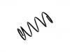 Coil Spring:20384-AC200