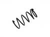 Coil Spring:20384-AC080