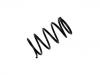 Coil Spring:20382-AA140