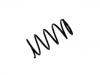 Coil Spring:41311-59J60