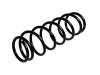 Coil Spring:41111-81A20