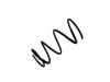 Coil Spring:48131-42031