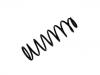 Coil Spring:48131-6A510