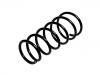 Coil Spring:48231-2G280