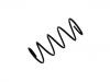 Coil Spring:48131-1N380