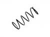 Coil Spring:48131-1N060