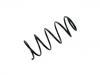 Coil Spring:31 33 1 138 347