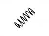 Coil Spring:90444716