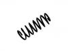 Coil Spring:4A9 511 115 N