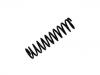 Coil Spring:893 511 115 AB