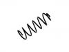 Coil Spring:7649708