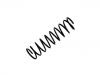 Coil Spring:9140681-9