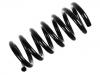 Coil Spring:281 411 105 D