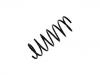 Coil Spring:31 33 1 136 046