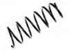 Coil Spring:77 00 816 107