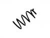 Coil Spring:60 25 103 357