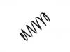 Coil Spring:96129530