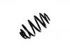 Coil Spring:90487522