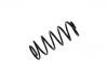 Coil Spring:44 83 202