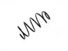 Coil Spring:60599933