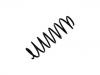 Coil Spring:3546641-6