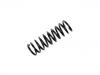 Coil Spring:33 53 1 140 135