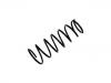 Coil Spring:48231-87118-000