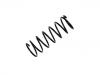 Coil Spring:48231-97207-000