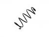 Coil Spring:7559895