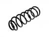 Coil Spring:5102.C9