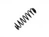 Coil Spring:5102.E2