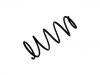 Coil Spring:5002.Z5