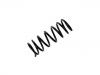 Coil Spring:48131-87563-000