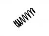 Coil Spring:46552013