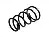 Coil Spring:3395946