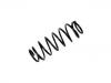 Coil Spring:52441-SZ3-G02