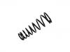 Muelle de chasis Coil Spring:JLM20161