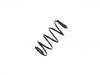 Coil Spring:XR811164