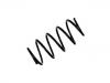 Coil Spring:9195609