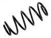 Coil Spring:90542130