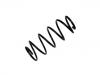 Coil Spring:312 776