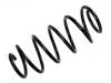 Coil Spring:312 858