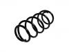 Coil Spring:312 854