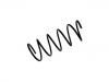 Coil Spring:5002.S8