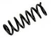 Coil Spring:5102.E3