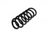 Coil Spring:5102.C5