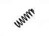 Coil Spring:5102.K7