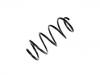 Muelle de chasis Coil Spring:82 00 004 684