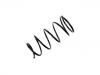 Coil Spring:REB10012