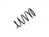 Coil Spring:REB000162EVA